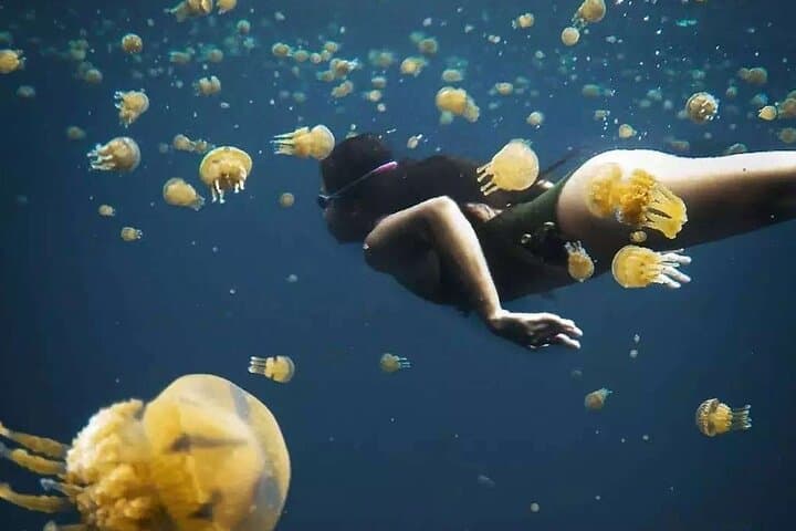 Private Sohoton Bucas Grande Tour: Swim with Stingless Jellyfish & Explore Hagukan Cave