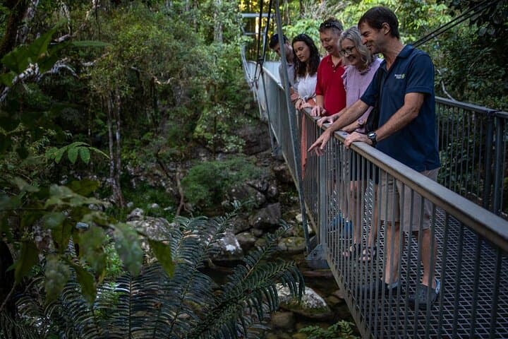 Half-Day Daintree Rainforest and Mossman Gorge Tour from Port Douglas photo 6