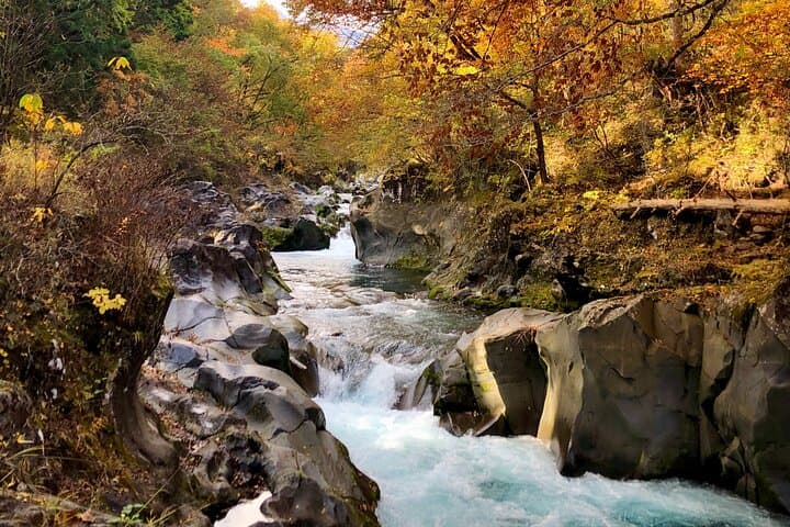 Nikko Walking Tour: Toshogu Shrine & Kanmangafuchi Abyss — A 5km Cultural Hike photo 5