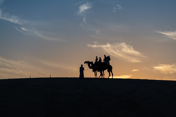 Qatar Half-Day Desert Safari: Dune Bashing & Inland Sea Photo Stop from Doha photo 4