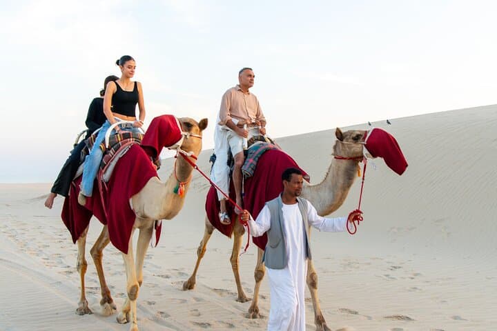 Qatar Half-Day Desert Safari: Dune Bashing & Inland Sea Photo Stop from Doha photo 5
