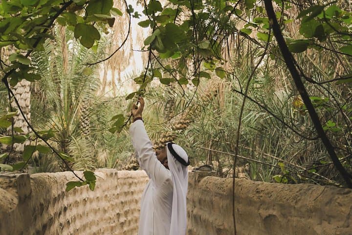 Al Ain Adventure: Jebel Hafeet, Oasis & Hot Springs Day Tour photo 2