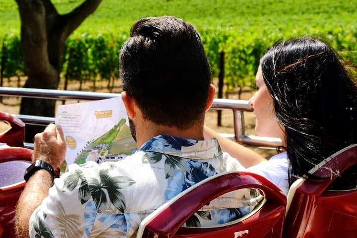 Family-Friendly Cape Winelands Small-Group Tour: Paarl, Stellenbosch & Franschhoek photo 3