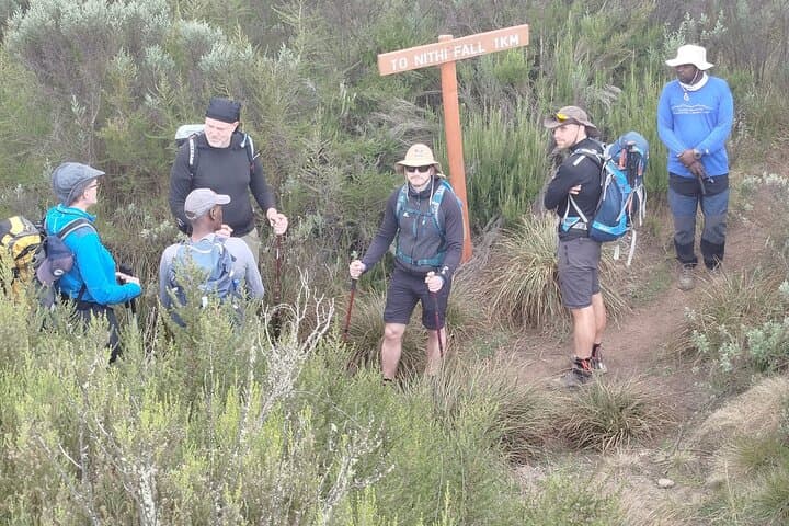 Full-Day Hike on Mount Kenya's Naro Moru Route from Nairobi photo 4