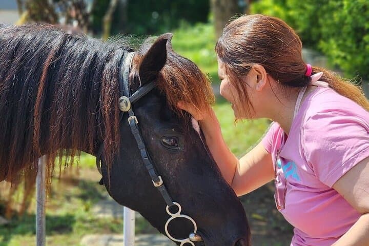 Bali Beach Horse Riding & Kantolampo Waterfall — Full-Day All-Inclusive Tour photo 6