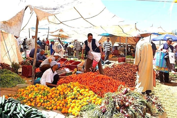 Atlas Mountains Day Trip to Ourika Valley with Local Berber Guide photo 4