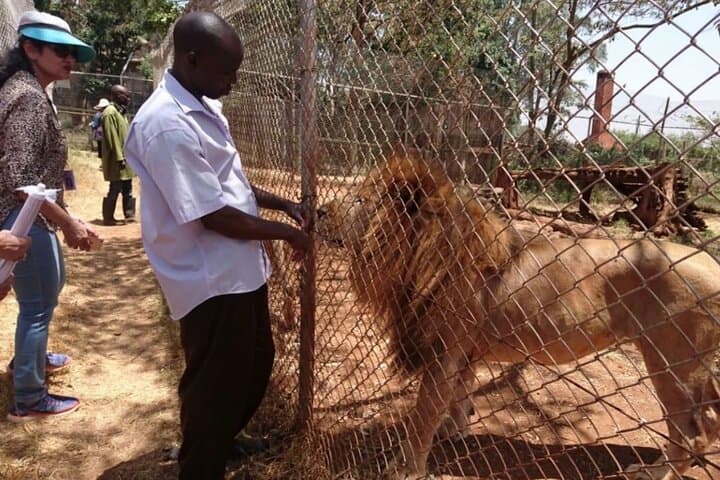 Nairobi Animal Orphanage Half-Day Conservation Tour photo 3