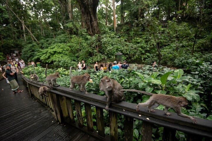 Private Ubud Day Tour: Temples, Monkey Forest, Rice Terraces & Waterfall photo 2