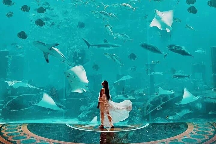 Explore Atlantis: Dubai Lost Chambers Aquarium Guide