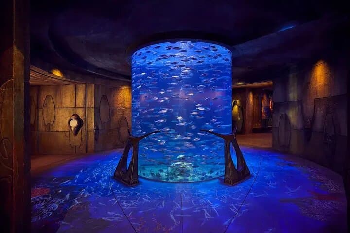 Explore Atlantis: Dubai Lost Chambers Aquarium Guide photo 3