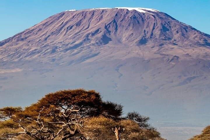Amboseli Elephant Encounter: Day Safari from Nairobi with Kilimanjaro Views photo 3