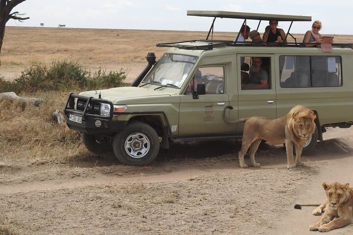 Masai Mara Budget Safari from Nairobi — 3-Day Wildlife Adventure photo 3