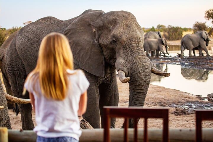 Kenya Wilderness Explorer: 7-Day Amboseli, Taita & Tsavo Safari