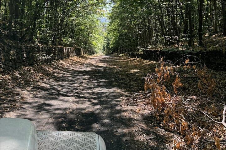 Mount Etna 4x4 Jeep Tour: Valle del Bove Off‑Road Experience with Lunch photo 6