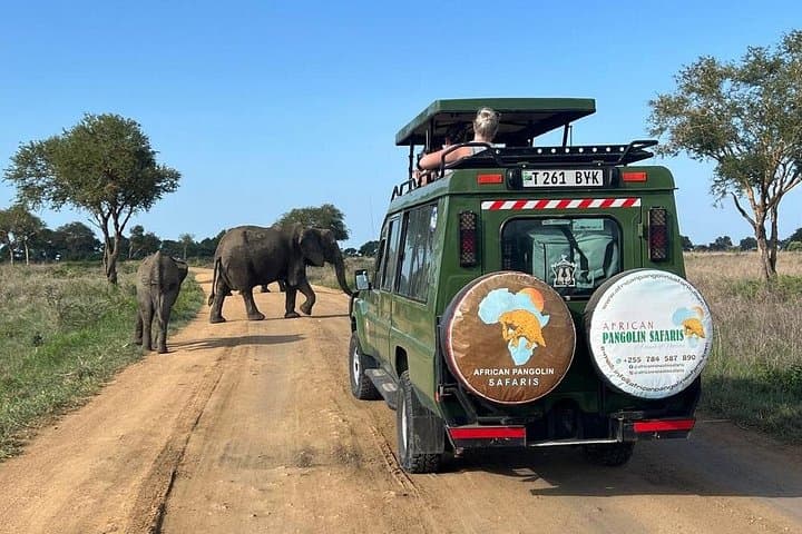 Electric Train Day Safari to Mikumi National Park from Dar es Salaam photo 1