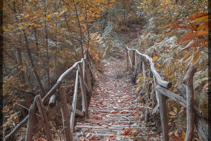 Mount Etna Advanced Trekking: Full-Day Private Hike from Catania photo 6