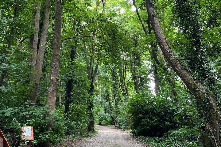 Fota Island Family Treasure Hunt: Interactive Adventure at Fota Island Resort