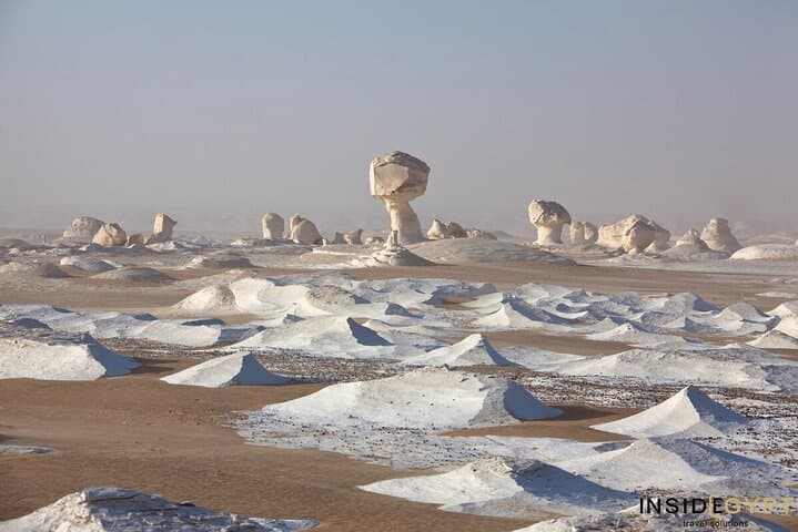 2-Day White Desert and Bahariya Oasis Safari from Cairo photo 2