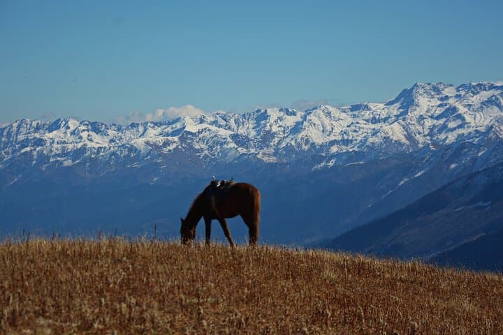 Ride High: 6-Day Horseback Adventure Over Utviri & Guli Passes in Svaneti photo 4