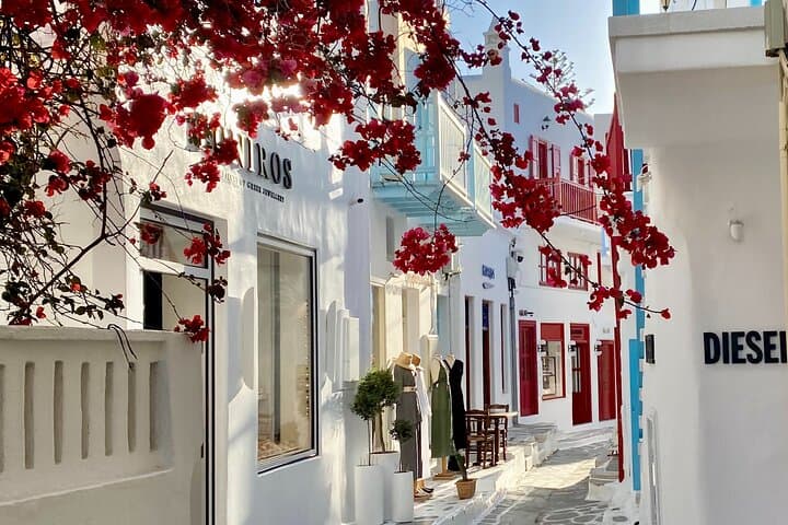 mykonos-complete-private-island-tour-lunch-included