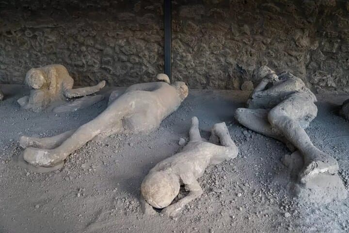 Pompeii Private Tour with Vesuvius Vineyard Wine Tasting and Lunch photo 3