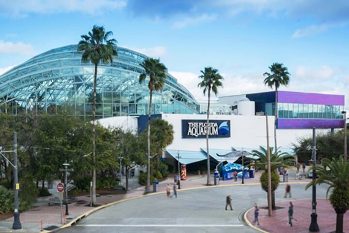 Exploring The Florida Aquarium: Tampa’s Window Into Marine Wildlife Conservation photo 2