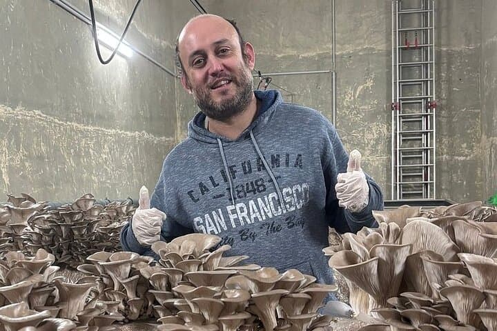 Underground Mushroom Farm Tour in Zurich: Touch, Taste, and Learn photo 4