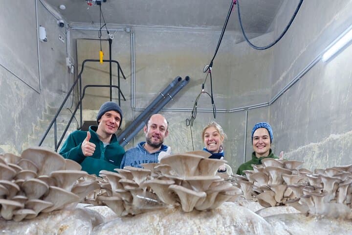 Underground Mushroom Farm Tour in Zurich: Touch, Taste, and Learn photo 6