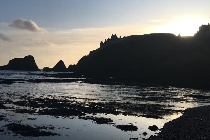 Dunnottar Puffins and Arbikie Distillery: Coastal Wildlife and Gin Tasting Day Trip photo 5