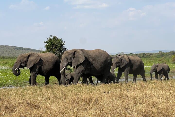 2-Day Akagera Wildlife Safari & Kigali City Tour — Boat Safari on Lake Ihema photo 6