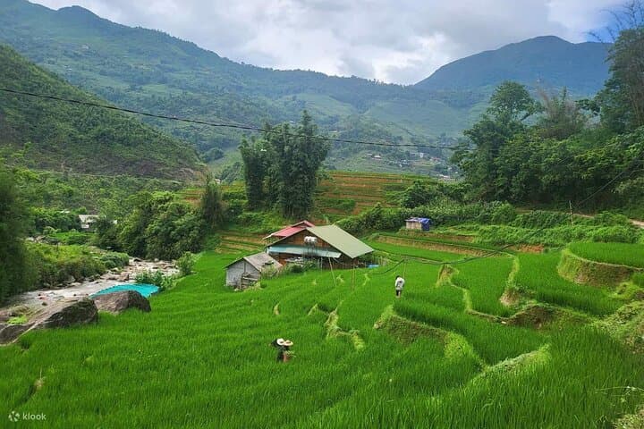 2-Day Hidden Village Homestay & Trek Trekking in Sapa (Ta Van) photo 1