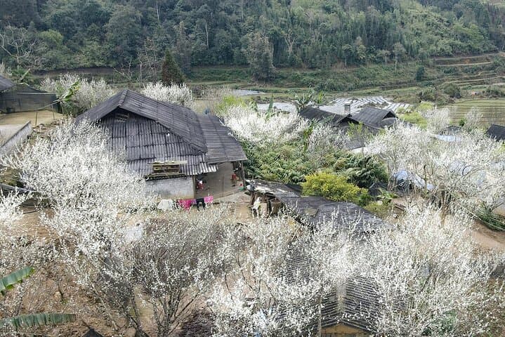 2-Day Hidden Village Homestay & Trek Trekking in Sapa (Ta Van) photo 3