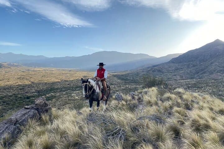 Sunset Horseback Ride in Mendoza's Andes with Gauchos & Wine photo 3