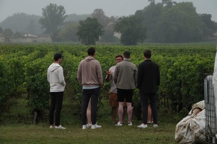 Saint-Émilion E‑Bike Wine Pilgrimage: Half‑Day Tour with a Winemaker photo 4