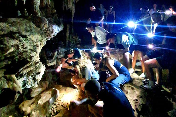 Cruise Cheow Lan Lake: Day Trip from Phuket to Khao Sok's Limestone Cliffs photo 4