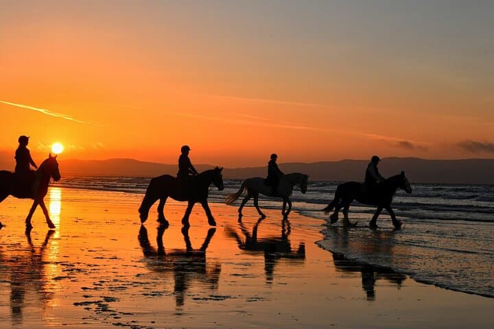 Horseback Riding on Tamraght Beach — Agadir Coastal Horse Tour photo 2