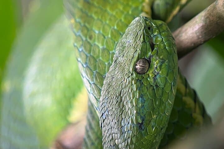 Curi Cancha Nature Experience: Guided Cloud-Forest Walk in Monteverde photo 6