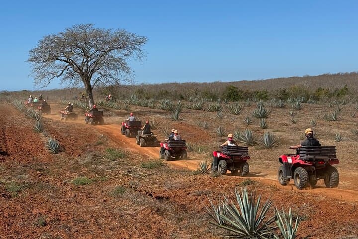 Mazatlán ATV and Temazcal Combo with Lunch & Mezcal Tasting