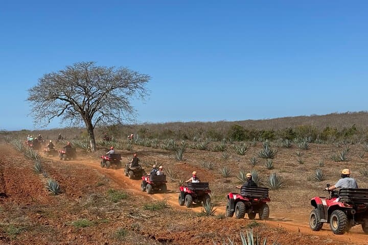 Mazatlán ATV and Temazcal Combo with Lunch & Mezcal Tasting photo 2