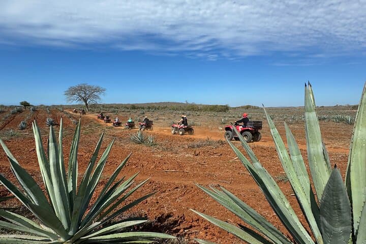 Mazatlán ATV and Temazcal Combo with Lunch & Mezcal Tasting photo 3