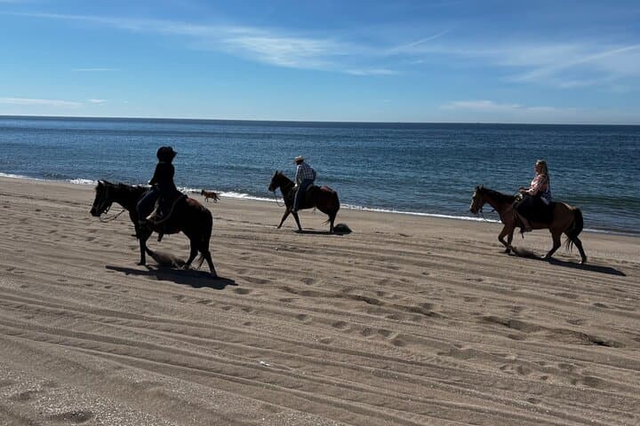 Mazatlán Horseback Ride and Temazcal Ceremony with Mezcal Tasting