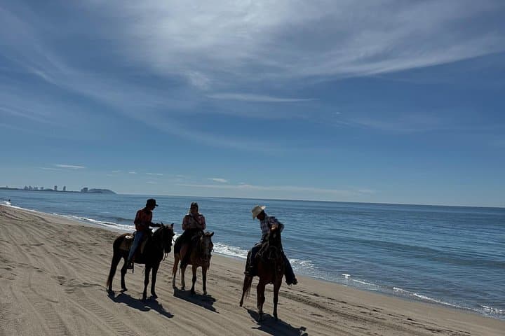 Mazatlán Horseback Ride and Temazcal Ceremony with Mezcal Tasting photo 4