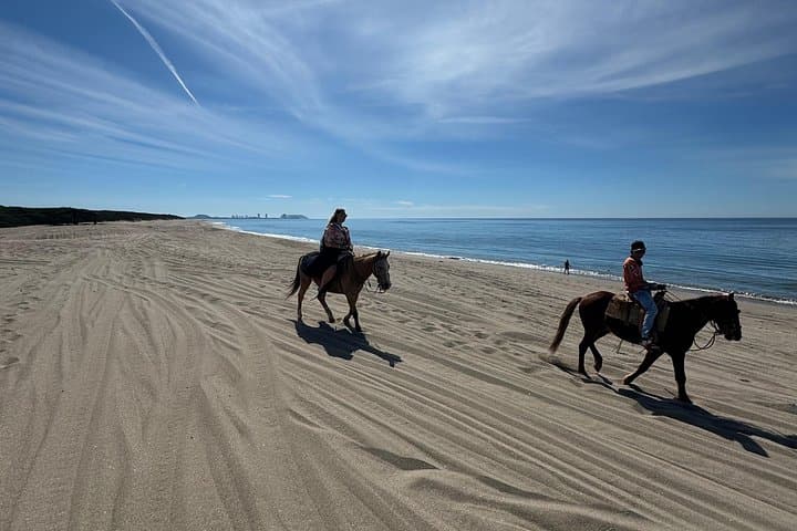 Mazatlán Horseback Ride and Temazcal Ceremony with Mezcal Tasting photo 5
