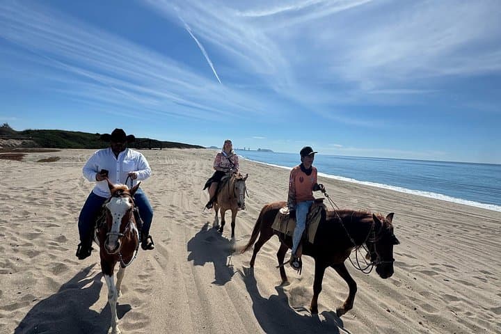 Mazatlán Horseback Ride and Temazcal Ceremony with Mezcal Tasting photo 6