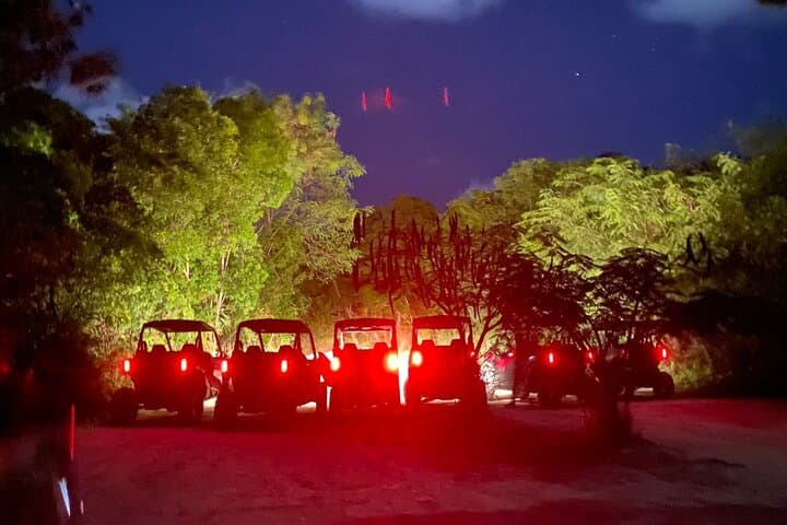 Polaris at Night: Jungle Polaris Ride, Cenote Blue Lagoon & Surf-and-Turf Dinner in Bávaro