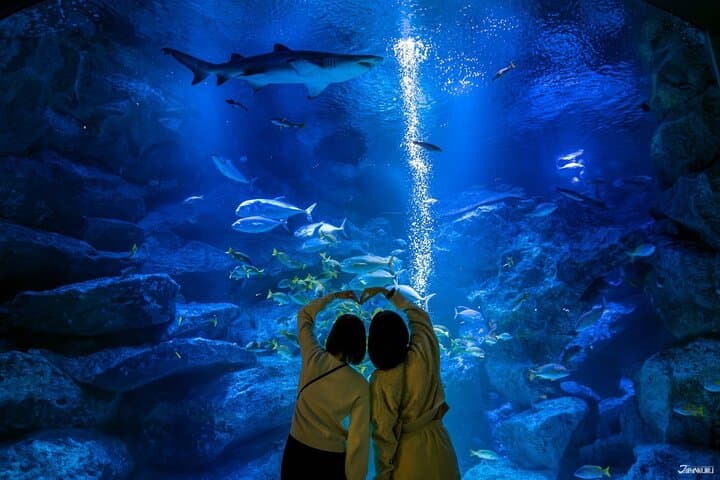Inside Sumida Aquarium Tokyo: Penguins, Jellyfish, and Skyline Vistas photo 2