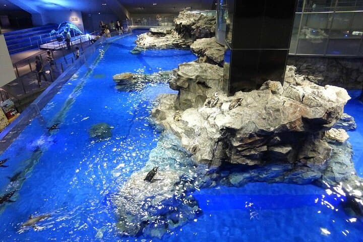 Inside Sumida Aquarium Tokyo: Penguins, Jellyfish, and Skyline Vistas photo 3