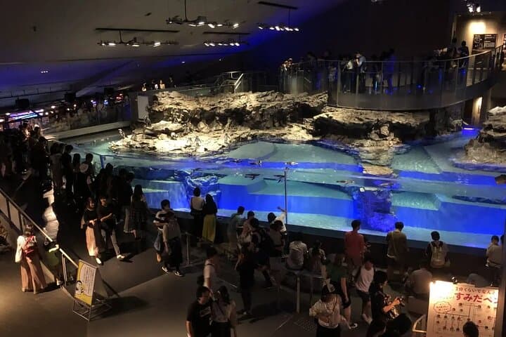 Inside Sumida Aquarium Tokyo: Penguins, Jellyfish, and Skyline Vistas photo 4