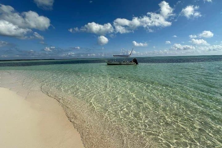 Cozumel Buggy Adventure to Punta Sur & Chen Rio — 5-Hour Coastal Off‑Road Tour photo 2