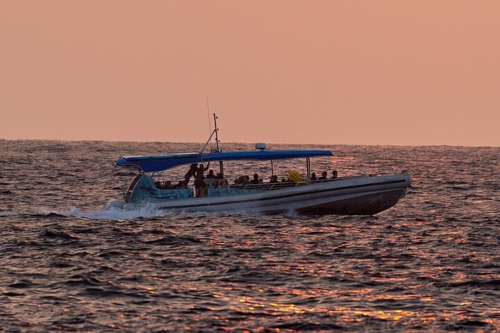 Kona Midday Whale Watching — Humpback Cruises from Honokohau Harbor photo 2